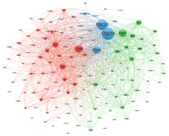 关联基因聚类分析图B